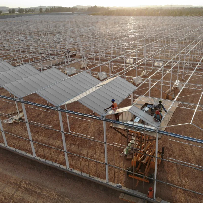 DAVA greenhouses and produce