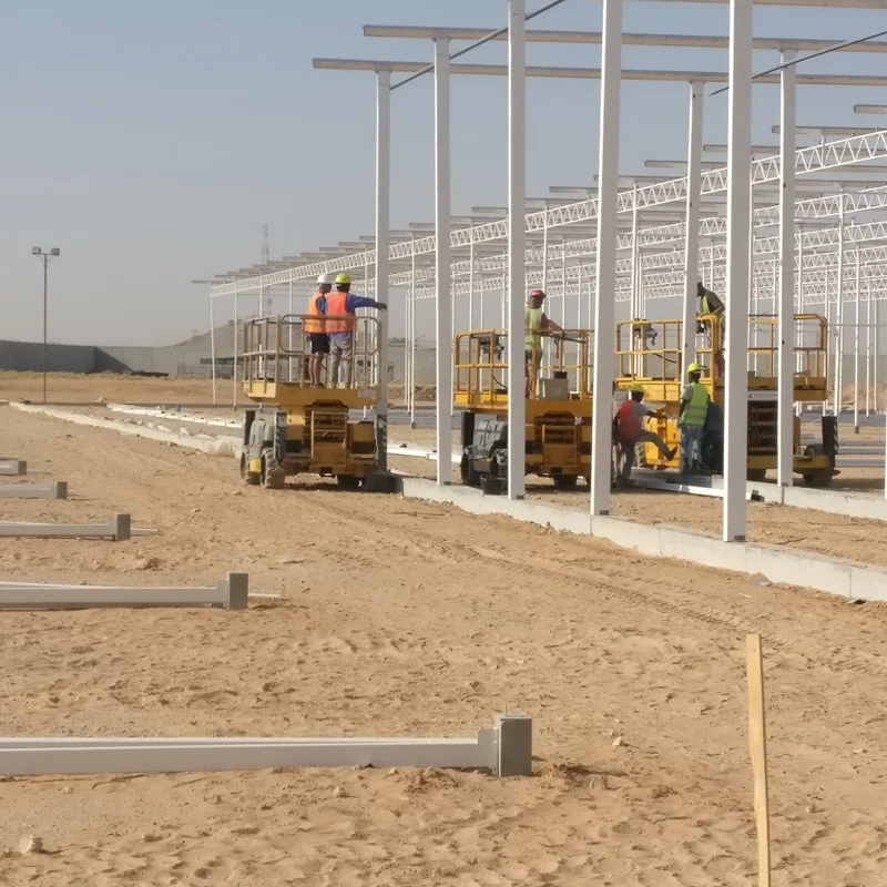 DAVA greenhouses and produce