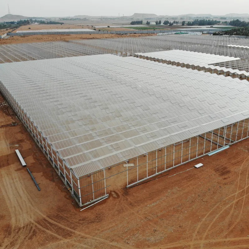 DAVA greenhouses and produce