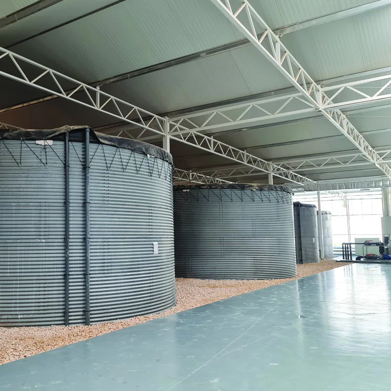 DAVA greenhouses and produce