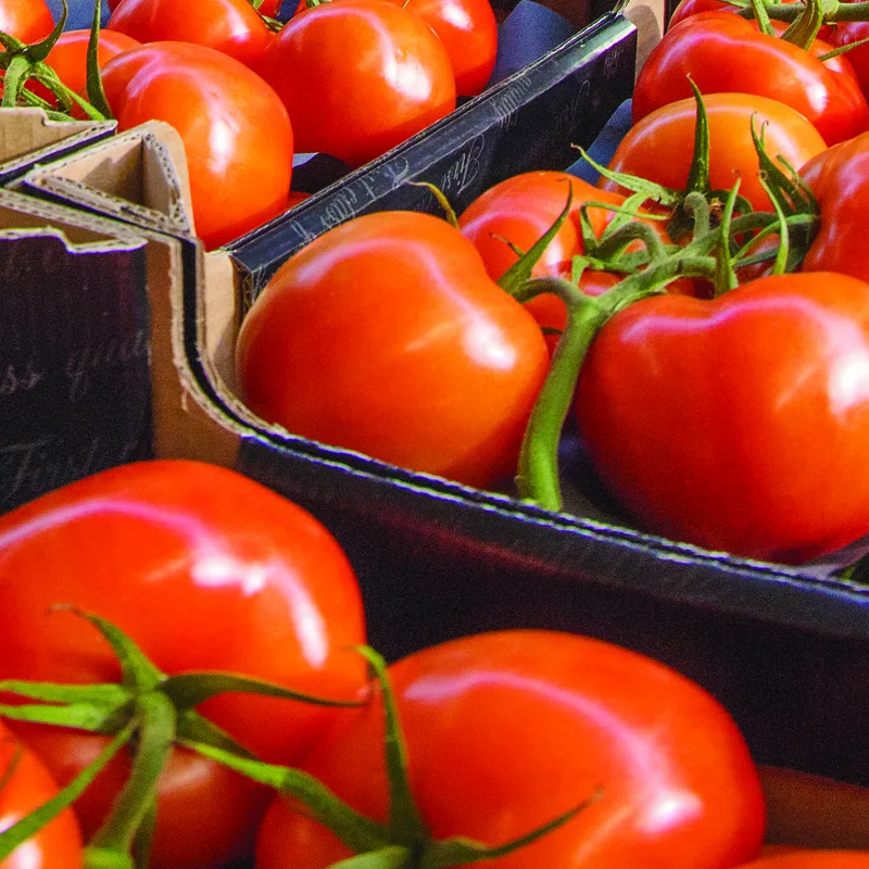 DAVA greenhouses and produce